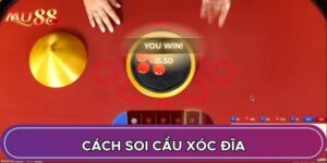 Cách soi cầu xóc đĩa quan trọng khi chơi