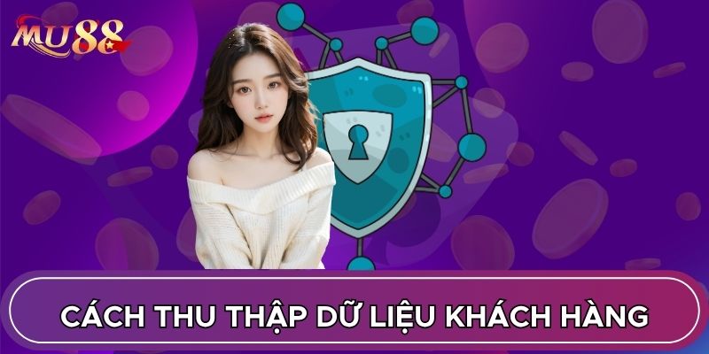 Cách thu thập dữ liệu khách hàng
